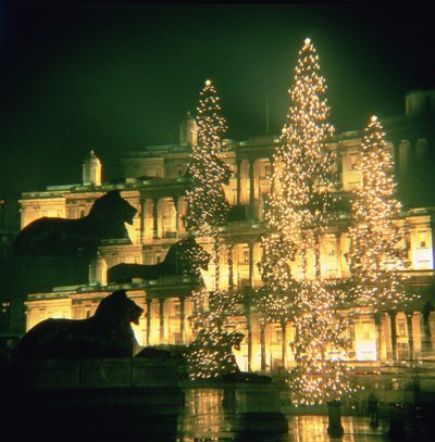 Christmas Lights at the National Gallery by Unbekannt Unbekannt